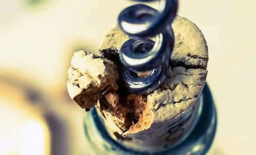 原來紅酒瓶塞是這樣制造的,和我想的完全不一樣,長見識了